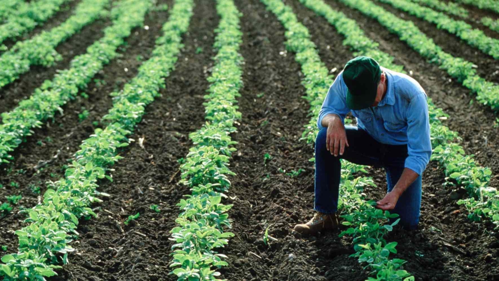 Moeve quiere posicionarse como un socio esencial para asegurar el rendimiento �ptimo de motores, sistemas hidr�ulicos y engranajes...