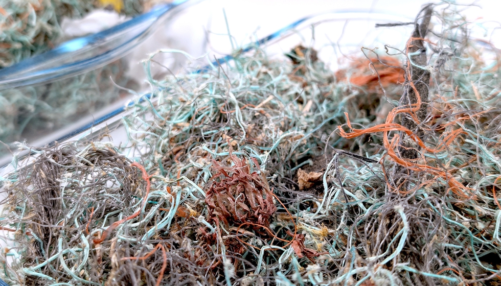 Los ros son responsables de una gran parte de la contaminacin marina...