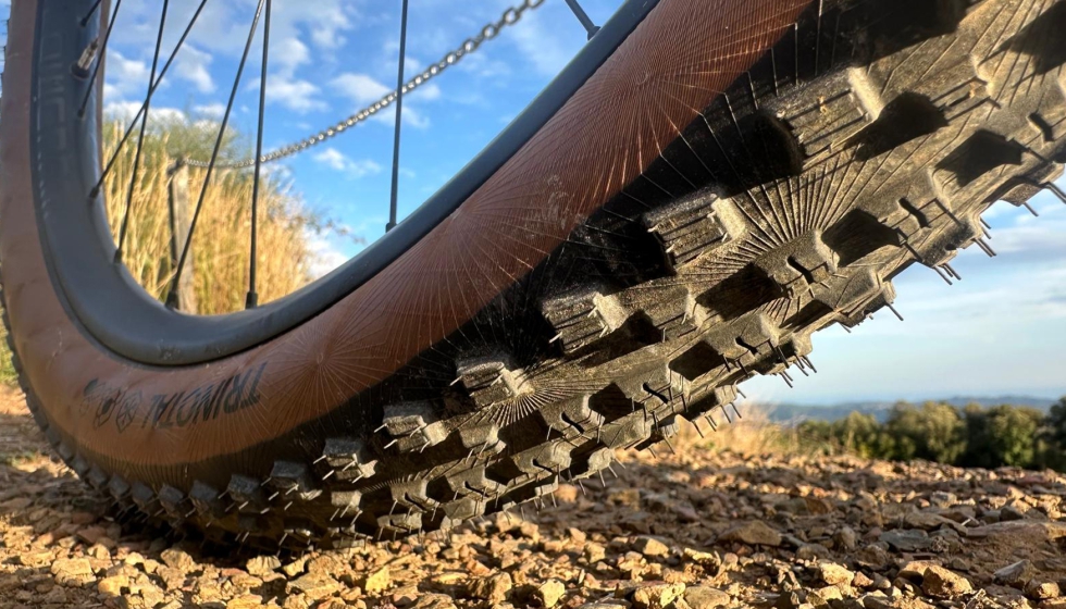 Foto del Trinotal de Continental en 2,4" montada en rueda