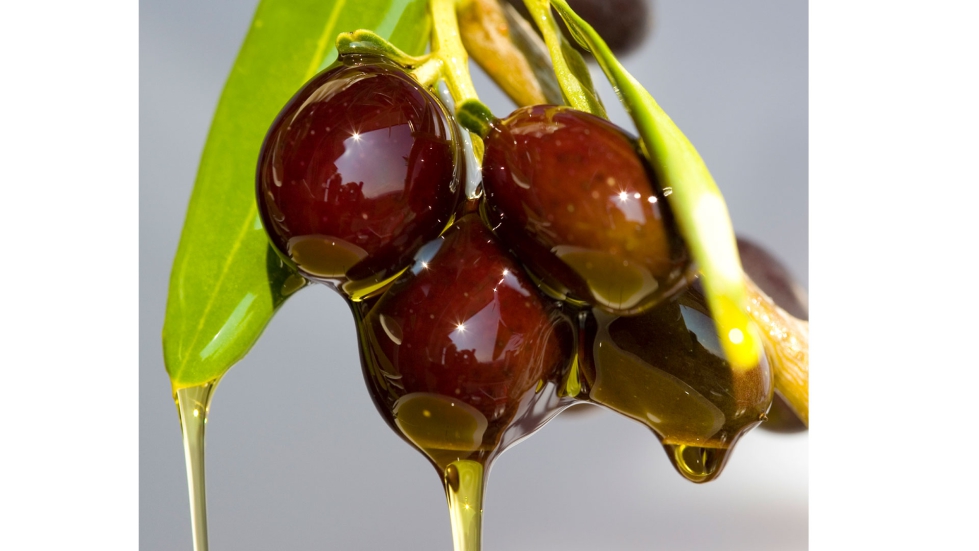Foto de Cooperativas Agro-alimentarias de Espaa reivindica la retirada de los aranceles de EE. UU. a la aceituna negra espaola