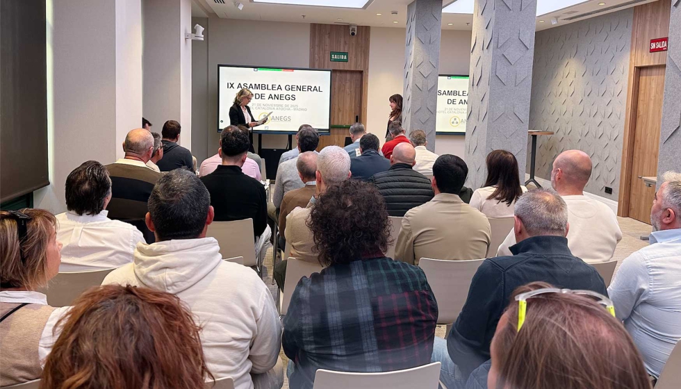 Anegs celebr su IX Asamblea General el pasado 21 de noviembre, en Madrid
