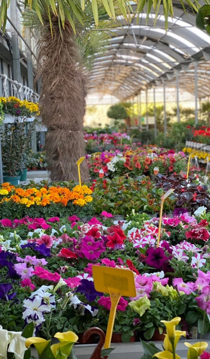 Un espacio de jardinera y paisajismo que combina tradicin familiar e innovacin