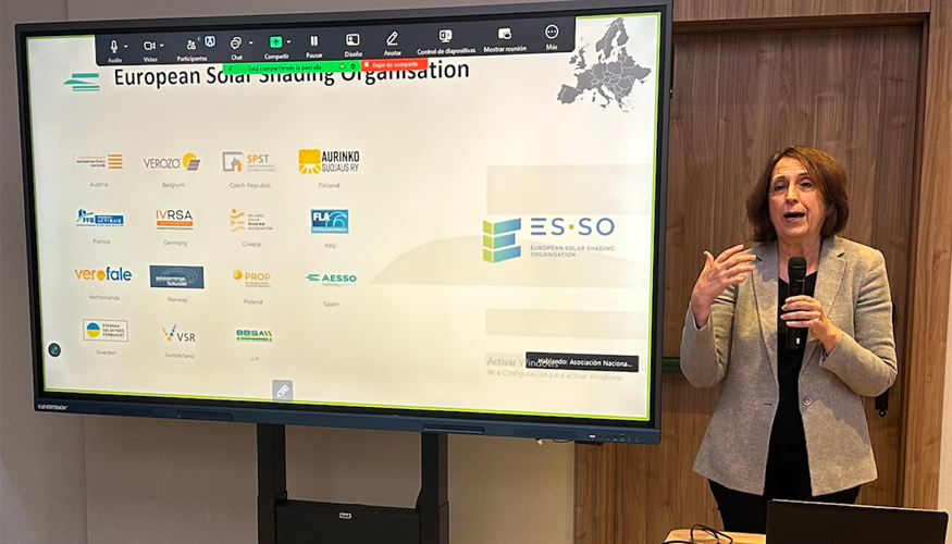 Mara Jos Moya, Secretaria de AESSO