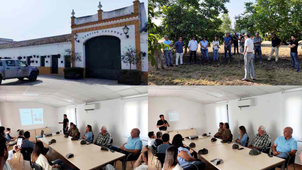 Figura 1. Explotaci�n 'Cortijo Calonge', perteneciente a la empresa Almaco del Guadalquivir, S.L...