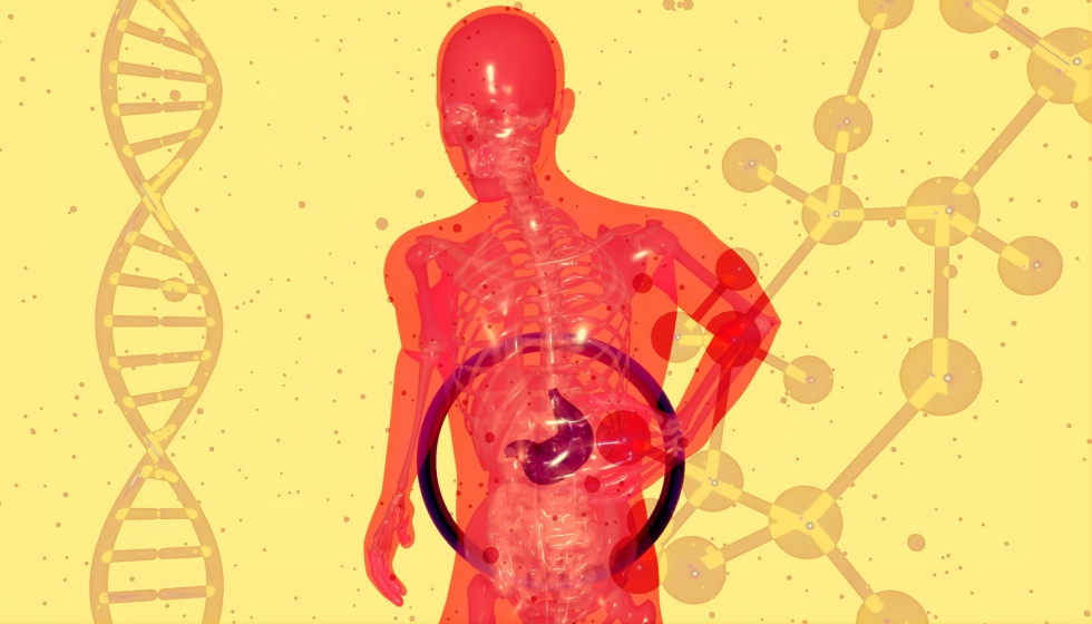 El FLI, clave segn Quirn Prevencin. Foto: Fernando Tromeur