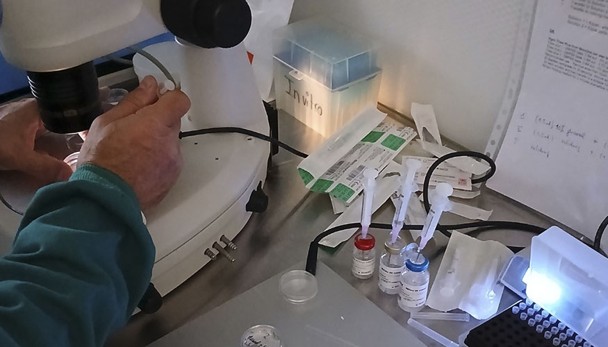 Laboratorio de Ovign