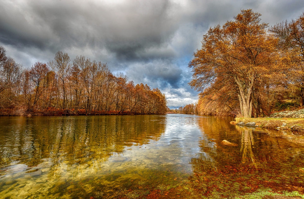 Un equipo de la Universidad de Valladolid present los resultados de su investigacin con carcter formativo. Foto: CHD