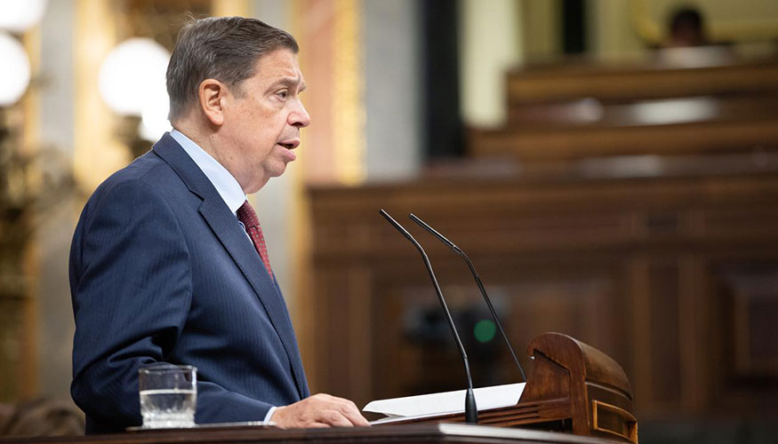 El ministro Luis Planas, durante su comparecencia en el Congreso de los Diputados