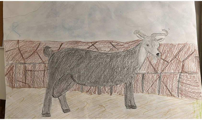 Tercer Premio. Jimena Jorge P�rez. CEIP El Roque (Los Llanos de Aridane)