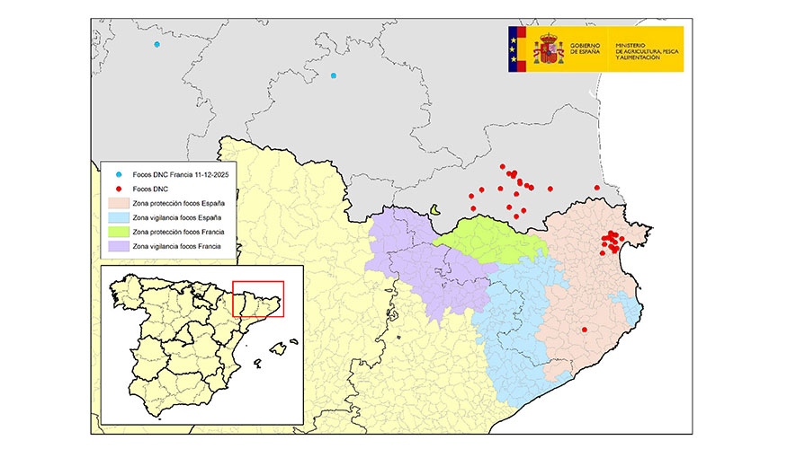 Localizacin de los focos confirmados de dermatosis nodular contagiosa hasta el momento en Francia y Espaa. Fecha de actualizacin: 11-12-2025...