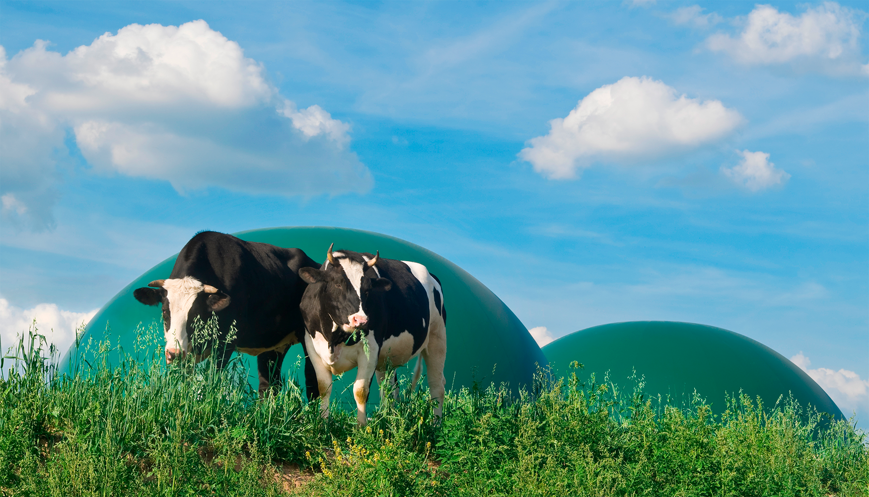 Para 2040, Europa podra producir 111 bcm de biometano, de los cuales 101 bcm corresponderan a la UE-27