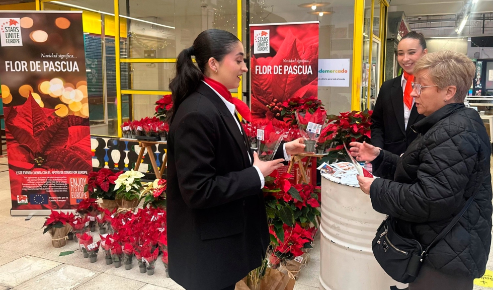Vecinos y visitantes reciben poinsettias en el Mercado de San Fernando de Madrid durante la celebracin del Da Internacional de la Flor de Pascua...