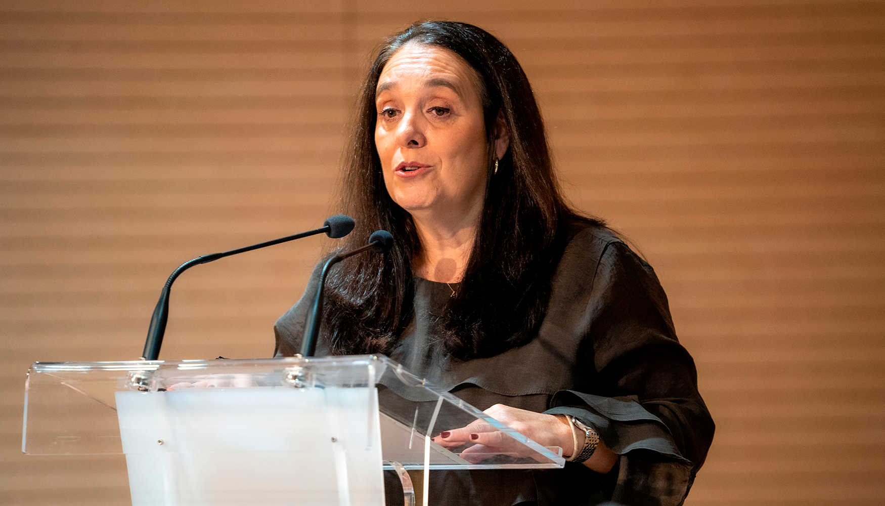 Mar�a �ngeles Ferr� destac� el papel estrat�gico de las plataformas tecnol�gicas y de innovaci�n como nexo entre administraciones p�blicas...