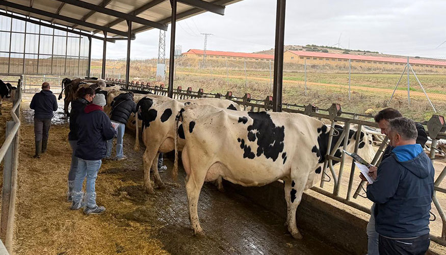 Taller de Morfolog�a y Gen�tica de la Raza Frisona en la ganader�a zamorana La Sielma