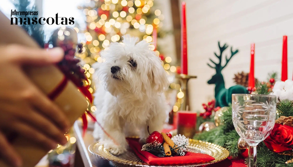 La oferta de turr�n, cava o panettone para perros crece...