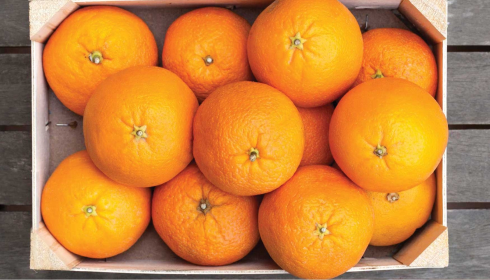 La t�cnica ha detectado en el laboratorio m�s de 250 pesticidas distintos en frutas como naranjas