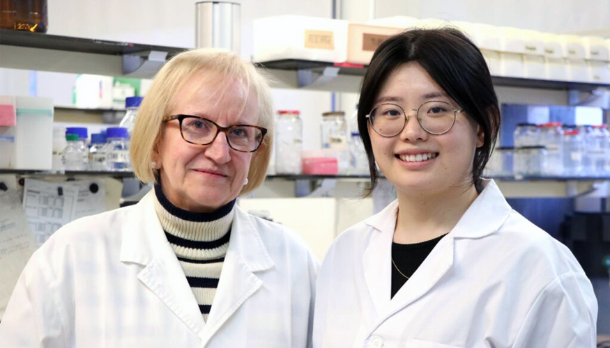 Francesca Fort y Qiying Lin-Yang, investigadoras del Departament de Bioqu�mica i Biotecnologia de la URV