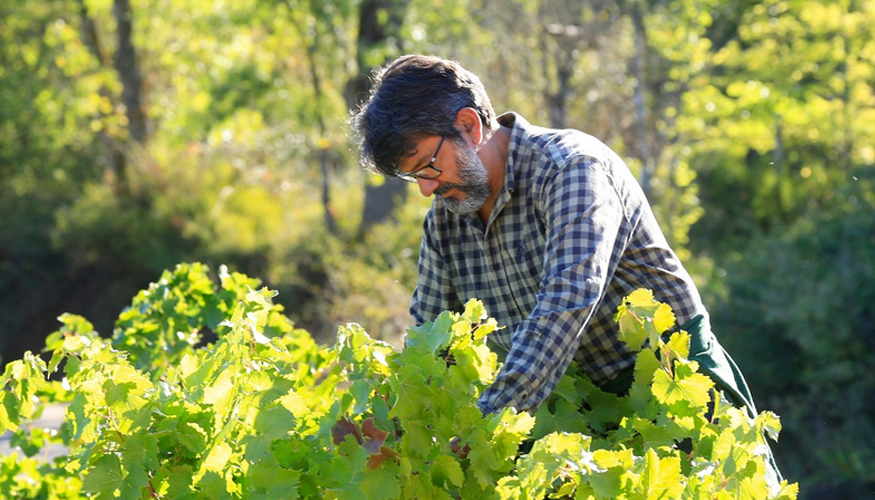 Marqu�s fue escogido como en�logo �leyenda� por Tim Atkin en 2025