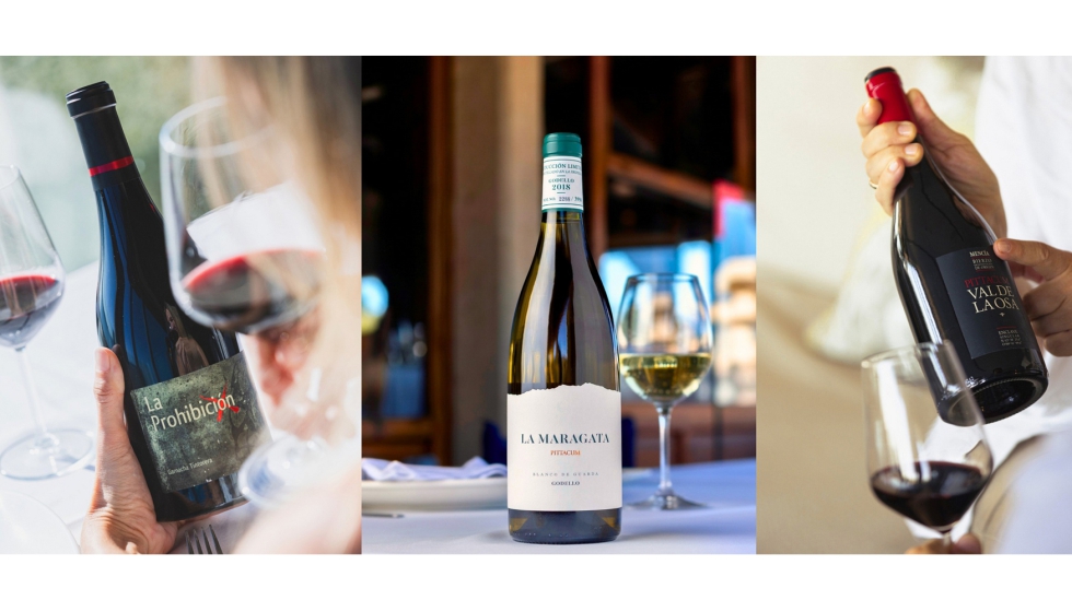 El top 100 de los mejores vinos del Bierzo de 2025 que public� Tim Atkin, reconocido cr�tico brit�nico...