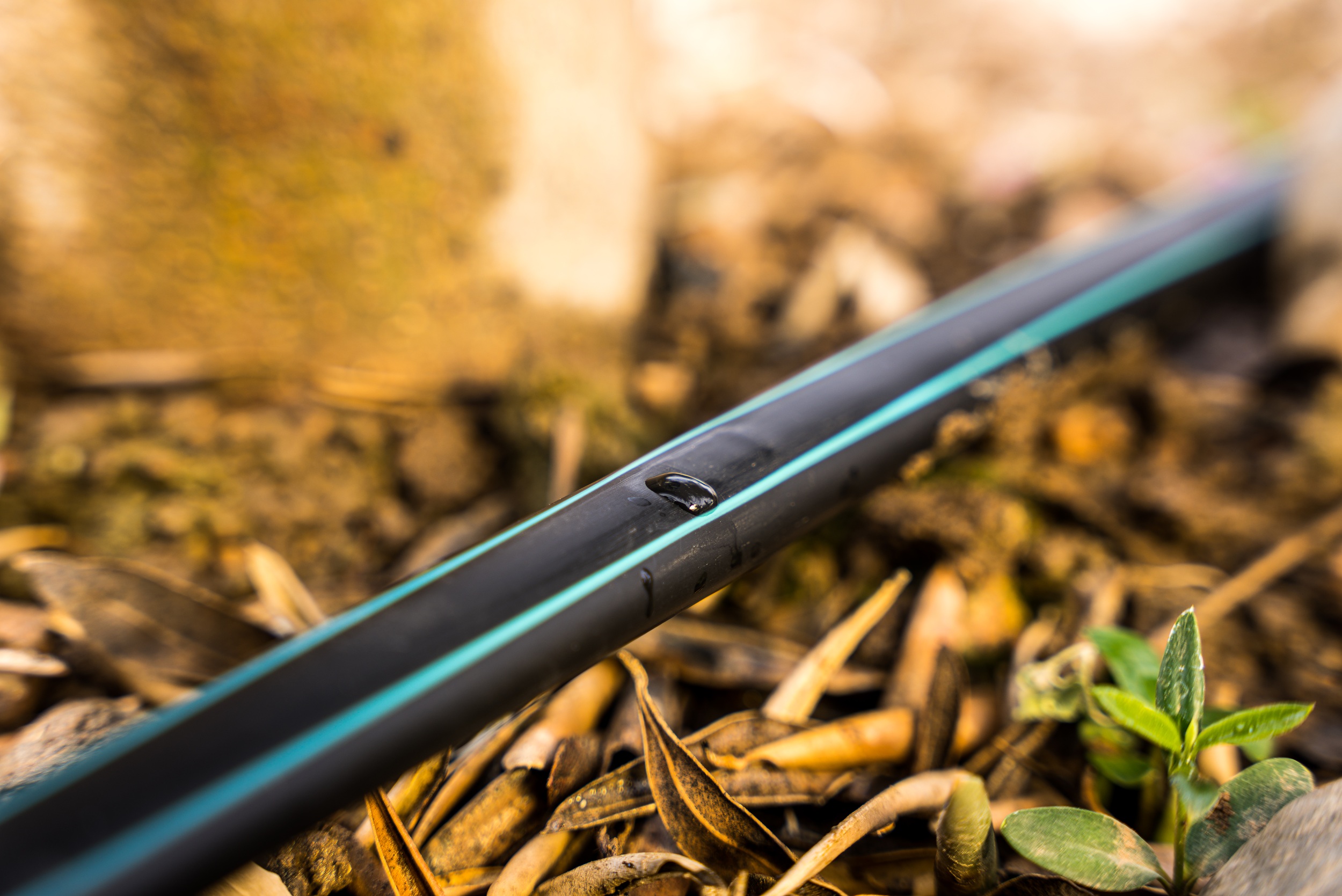 Disponer de las soluciones �ptimas en riego es fundamental para la rentabilidad de un cultivo