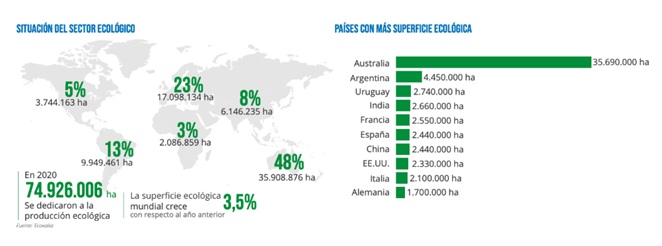 Distribuci�n de la producci�n ecol�gica en el mundo