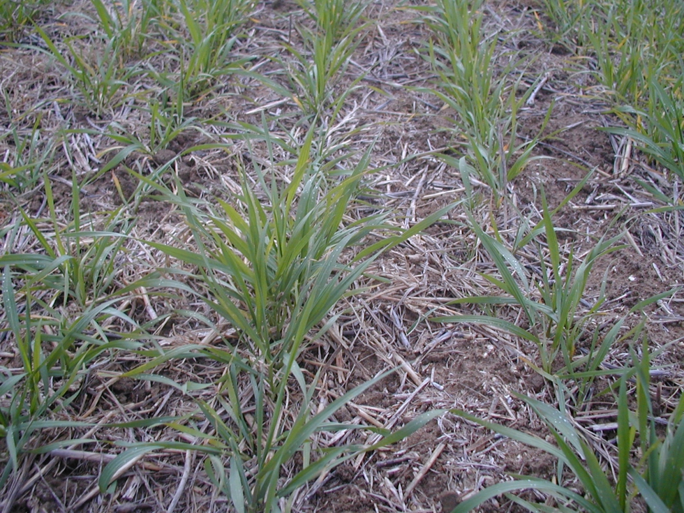 El convenio prestar� especial atenci�n a la formaci�n de mujeres y para favorecer el relevo generacional y fijar poblaci�n en el medio rural...