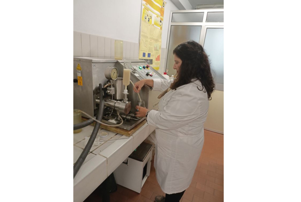 El aderezo a base de emulgel presenta propiedades fisicoqu�micas y de ingenier�a compatibles con aplicaciones comerciales...