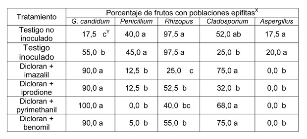 Quadre 5...