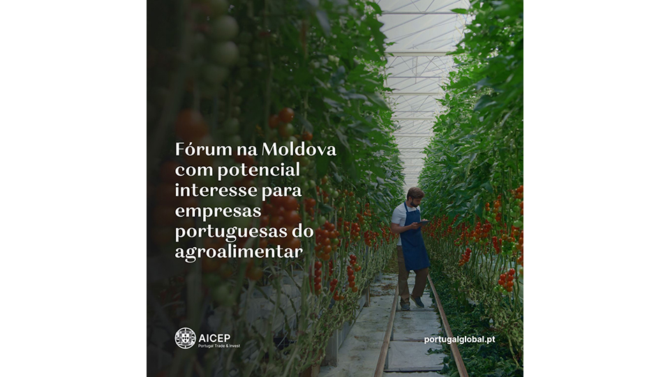 AICEP - Ag�ncia para o Investimento e Com�rcio Externo de Portugal