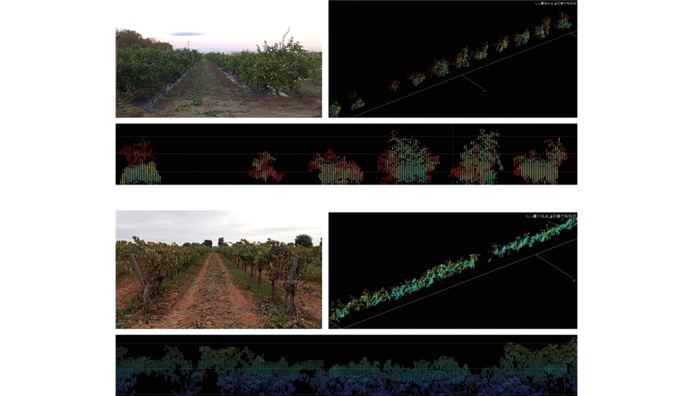 Figura 2. Fotograf�as de las calles del estudio en naranjos (arriba) y vi�edo (abajo)...