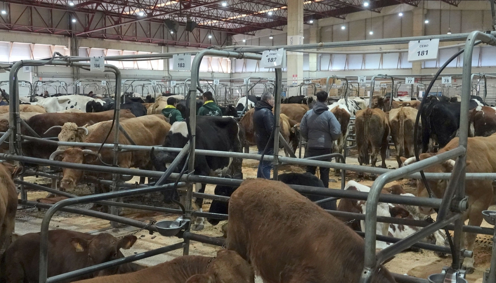 Asistencia de animales a la Central Agropecuaria de Galicia Abanca en la �ltima sesi�n del a�o