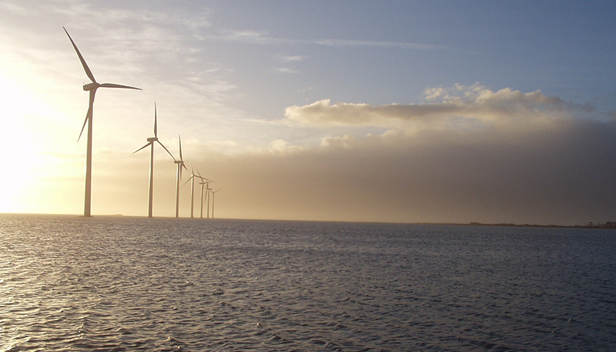 Las propuestas de los puertos que concurran deber�n estar asociadas a un proyecto industrial s�lido ligado al desarrollo de la cadena de valor en...