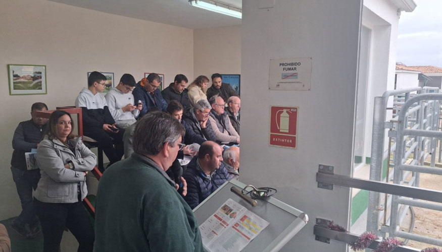 Participantes en la subasta de la raza Limusina en la finca La Chimenea