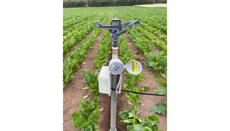 Los trabajos se realizaron durante los a�os 2024 y 2025, tanto en la zona de siembra de remolacha primaveral como oto�al...