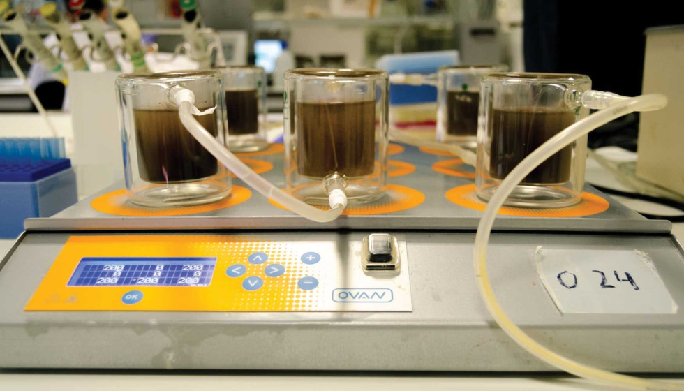 Ensayos de digesti�n in vitro para simular el proceso y comprobar si el extracto encapsulado segu�a funcionando