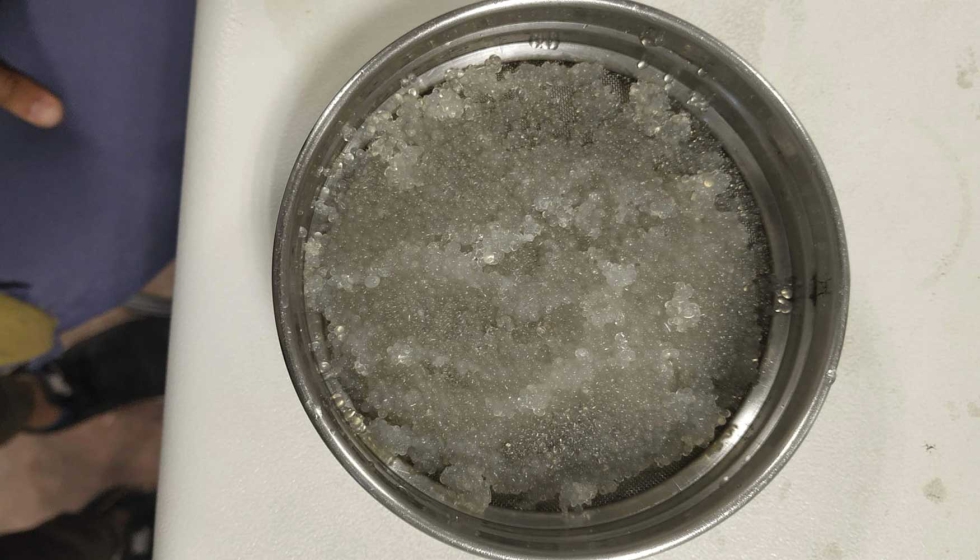 Detalle de las microc�psulas