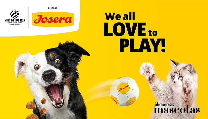 El 15 de enero tendr� lugar el inicio del campeonato europeo que disputar�n 24 selecciones