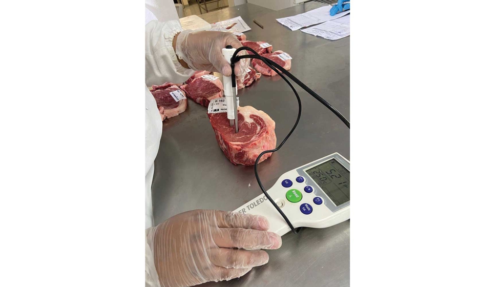 Foto: Elen Nal�rio