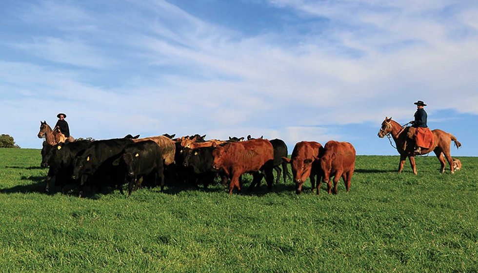 Imagen de �len Nal�rio y Leonardo Hostin de la ganader�a gaucha