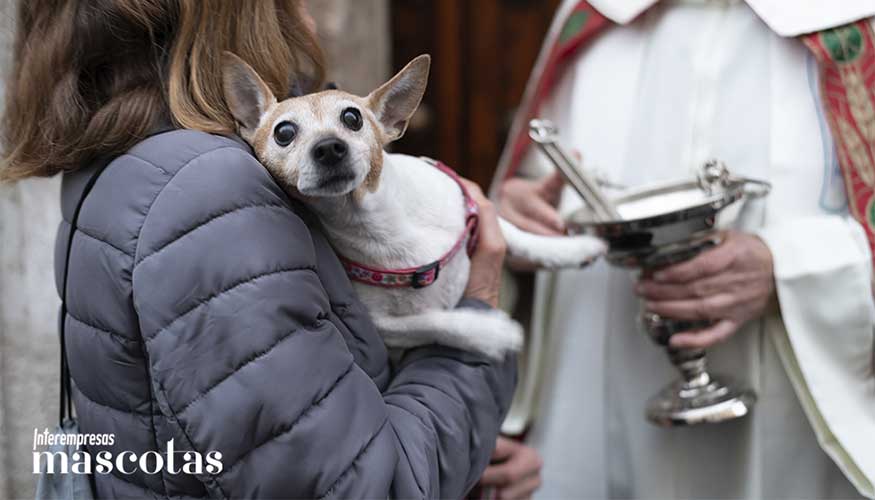 Preparar con antelaci�n la asistencia �o la decisi�n de no acudir� ayuda a prevenir episodios de estr�s y miedo