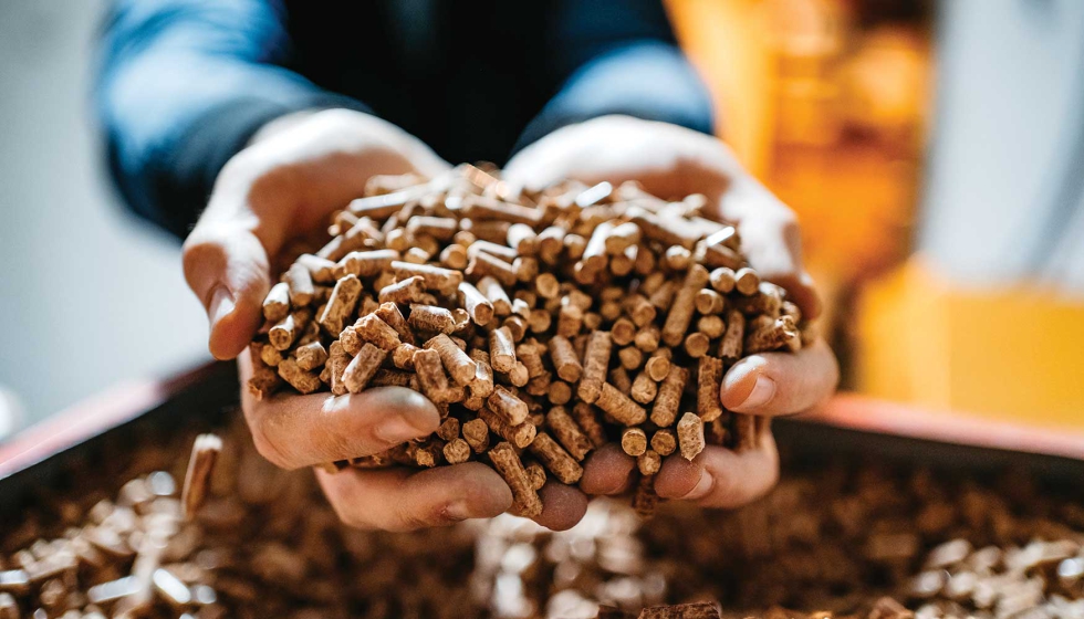 En 2025 se ha estabilizado el mercado de los biocombustibles s�lidos, con precios inferiores a otras fuentes de calor...