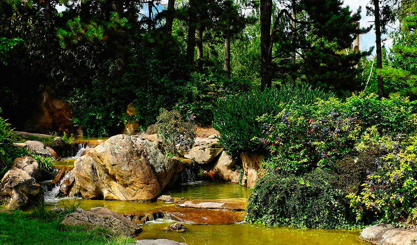 Jard�n dise�ado para estimular los sentidos y promover el bienestar emocional