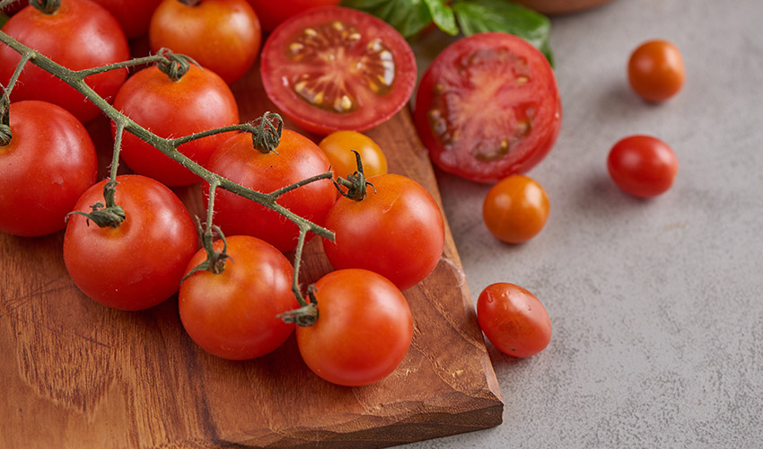 Los tomates de 2026, con variedades tradicionales e injertadas resistentes...