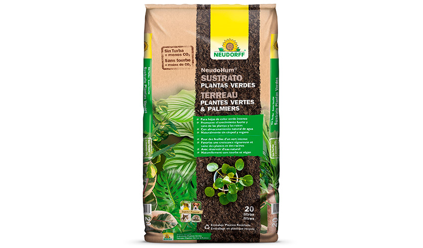 NeudoHum Plantas Verdes