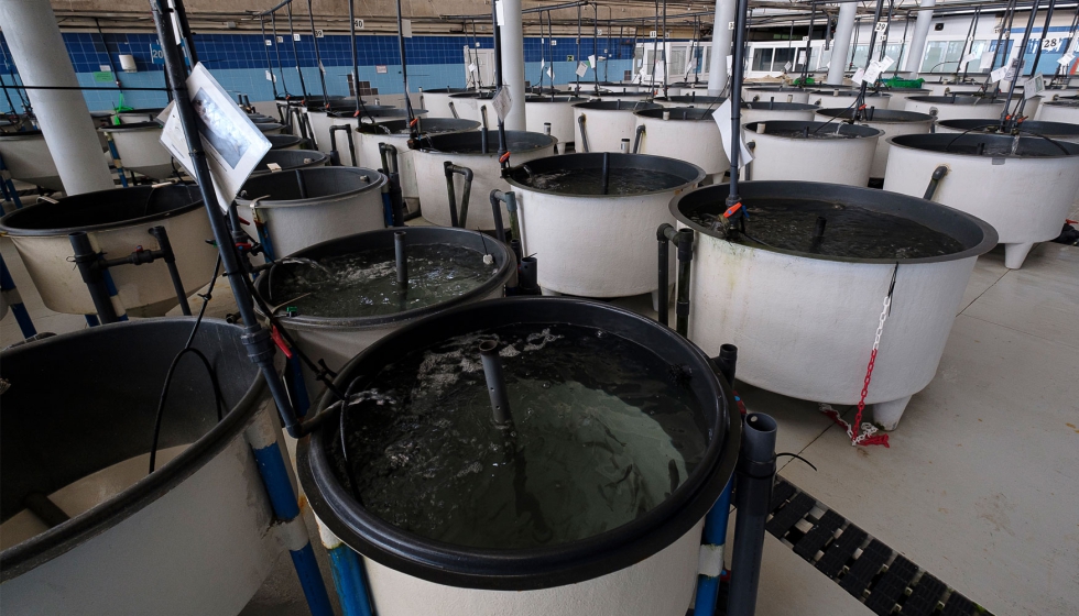 Instalaciones del PCMT de la ULPGC