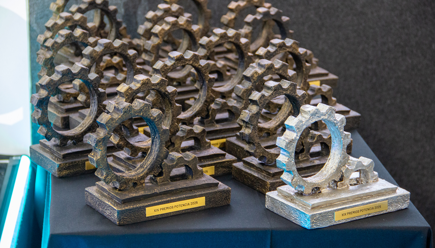 El pr�ximo 19 de noviembre se conocer� a los merecedores de las estatuillas en la XX edici�n de los Premios Potencia