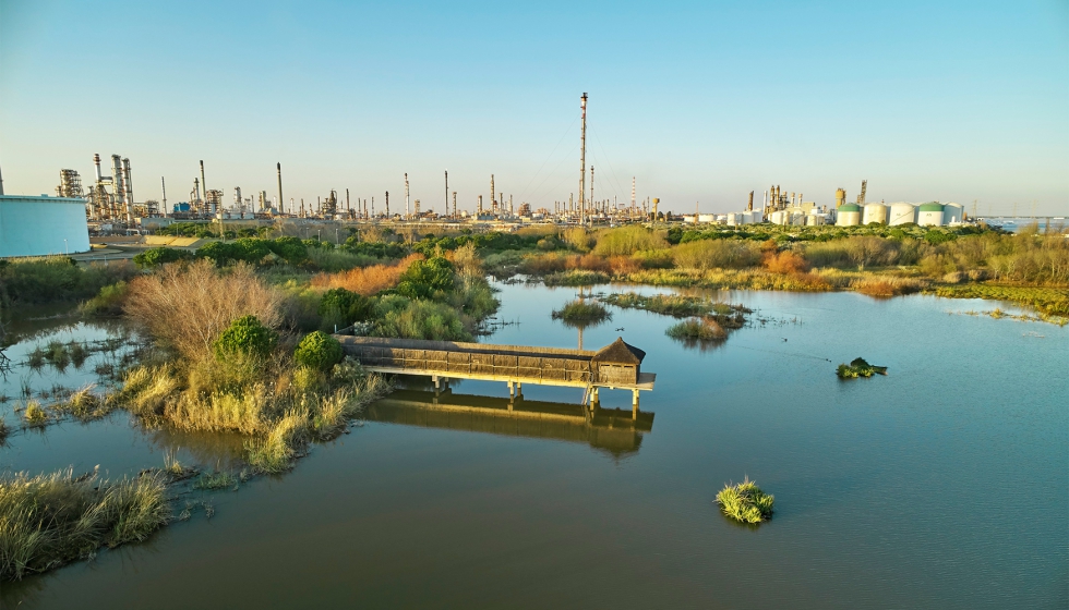 Laguna Primera de Palos, junto al Parque Energ�tico de Moeve en La R�bida (Huelva)