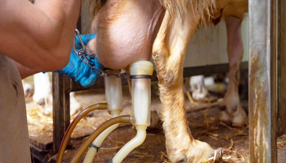 Foto de Del cubo a un futuro �con robot?