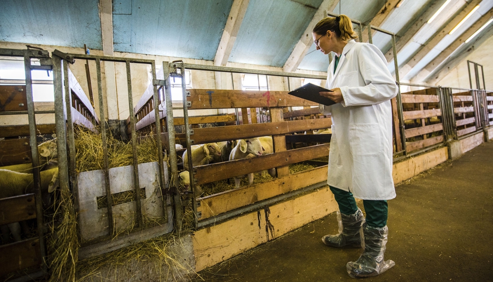 Foto de La receta veterinaria del futuro: cambios en la normativa sobre medicamentos veterinarios