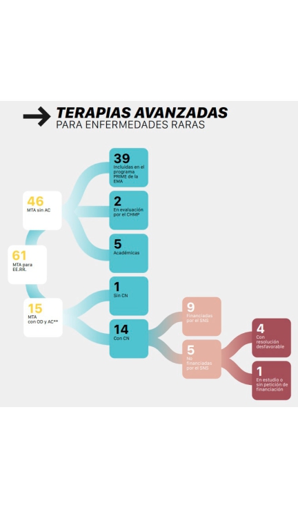 Fuente: Informe Anual de Acceso 2025 de AELMHU